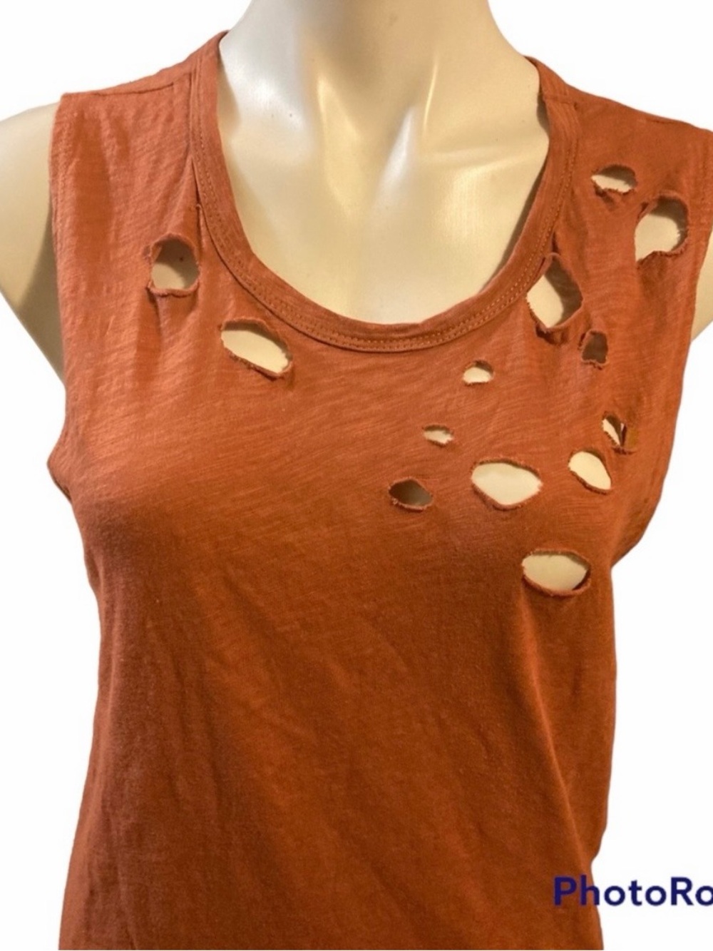 Fantastic Fawn Distressed Tank Top - Rust